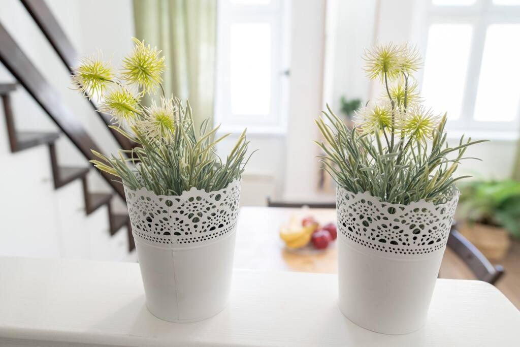 N28 Studio Next To Andrassy Boulevard. Будапеща Екстериор снимка